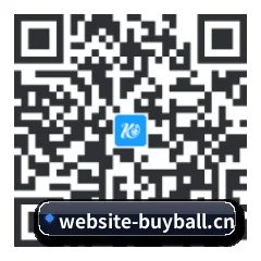 系统版 Android 二维码