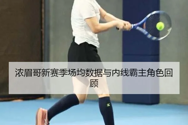 浓眉哥新赛季场均数据与内线霸主角色回顾